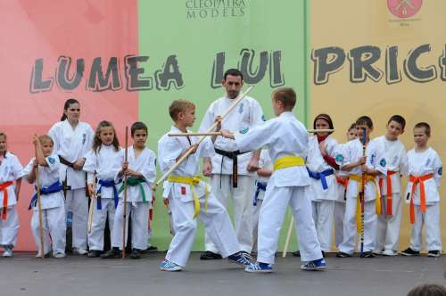 Karate Martial Arts Kids Stage Fight Exercise