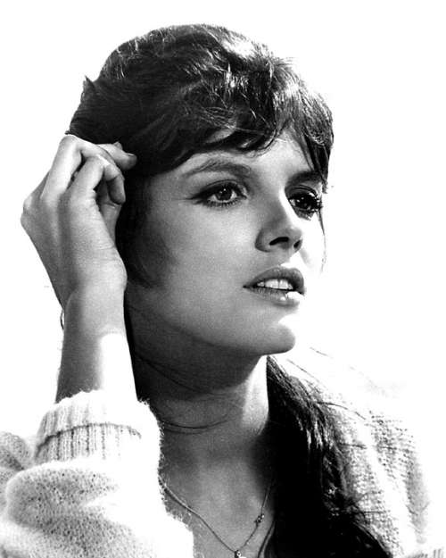 Katharine Ross Actress Author Stage Film