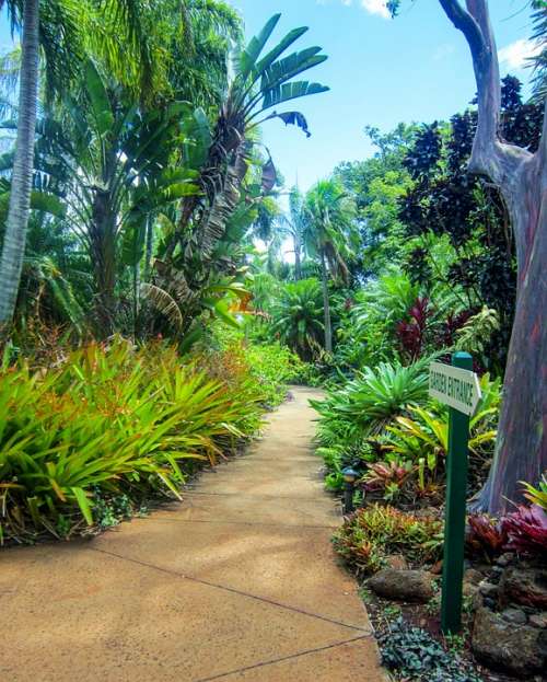 Kauai Hawaii Botanical Garden Poipu