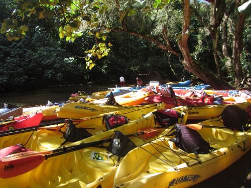 Kayak River Wailua River Kauai Hawaii