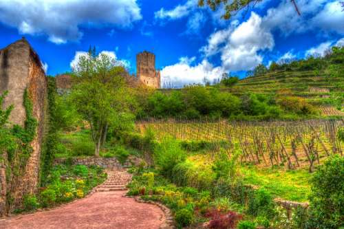 Kaysersberg Alsace France Castle Ruins Vineyards