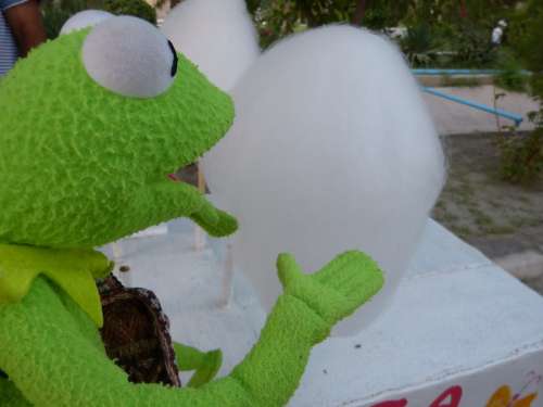 Kermit Frog Cotton Candy Buy Eat Sweet