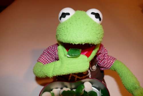 Kermit Frog Eat Gummibärchen Rubber Frogs Green