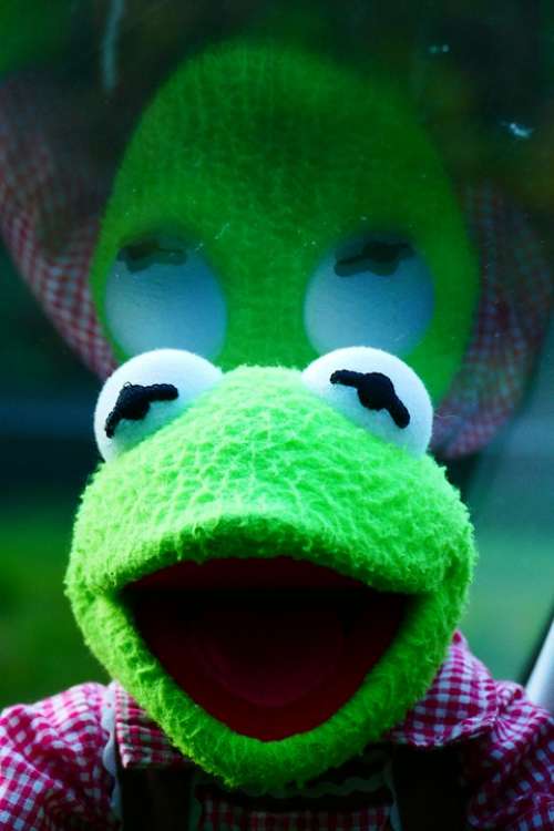 Kermit Frog Reflect Disc Doll Green