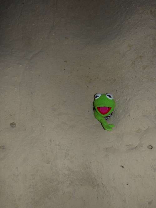 Kermit Frog Green Wall Hole Caught Stone Cold