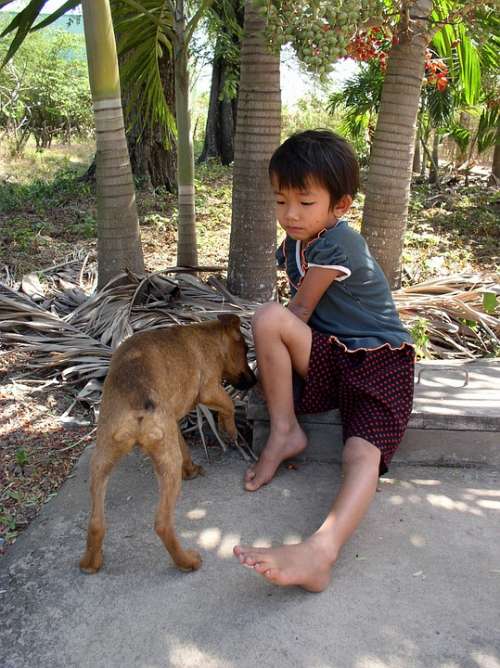 Kid Dog Feed Feeding Girl Child Friend Accompany