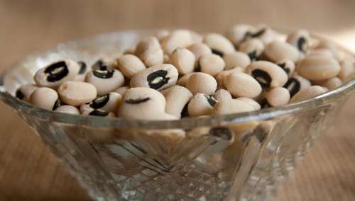 Kidney Beans Beans Dry Legumes Pulses Bowl