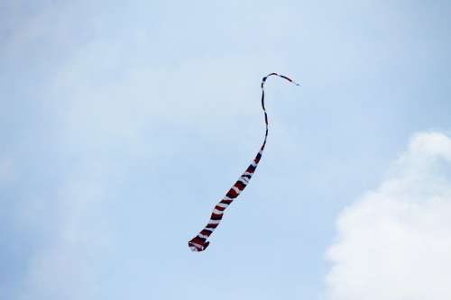 Kite Flying Wind Playing Sky Blue Fly