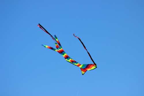 Kite Wind Colors Movement