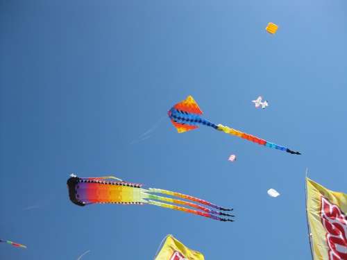 Kites Flying Wind Playing Asian Chinese