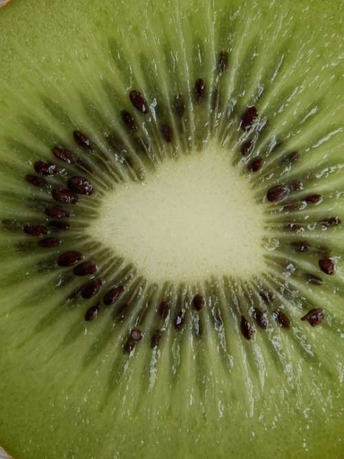 Kiwi Fruit Cores Green