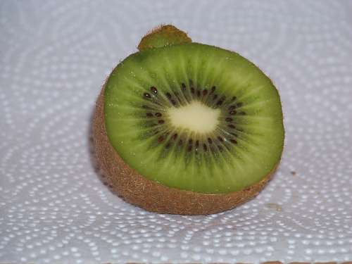 Kiwi Delicious Fruity Fruit Vitamins Healthy