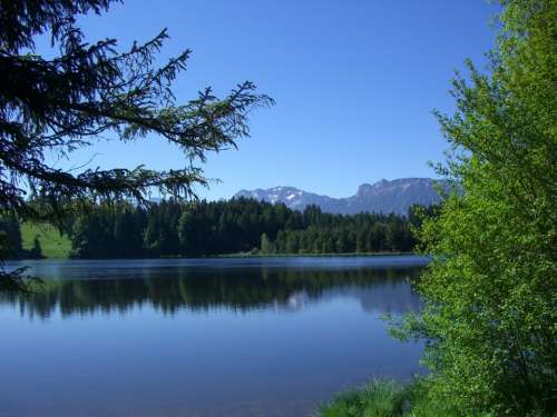 Kögel Pond Mirroring Firs Mountain Panorama