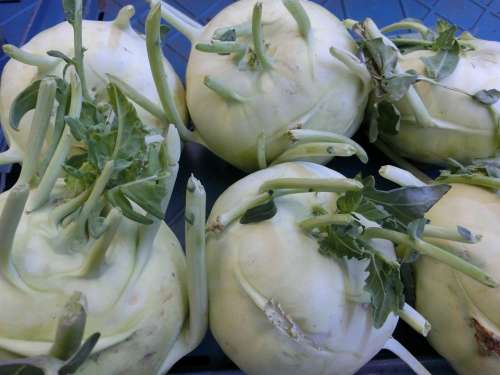 Kohlrabi Vegetables Healthy Tuber
