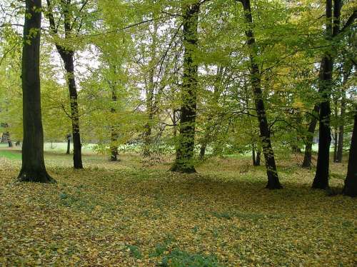 Kroměříž Chateau Garden Nature Autumn Park