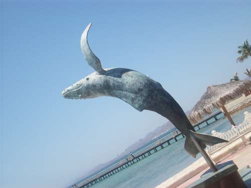 La Paz Mexico Whale Animal Sea Statue