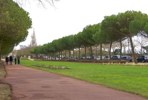 La Rochelle France City Park Plaza Sidewalk Trees