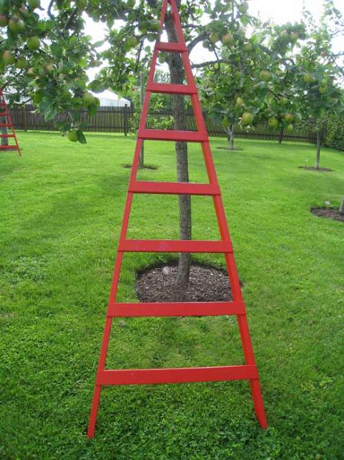 Ladder Art Red Garden Summer Apple Tree Grass