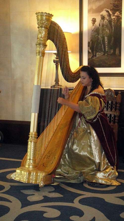 Lady Harps Lady Harps Musical Instrument String