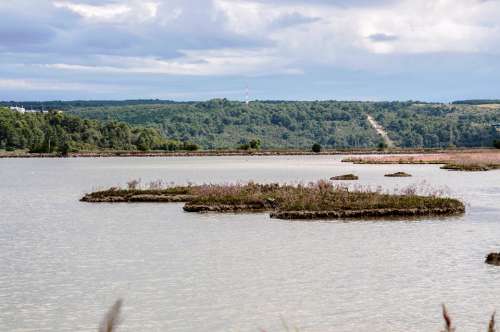 Laguna Tar Nature Summer Croatia Istria