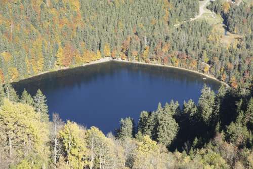 Lake Autumn Forest