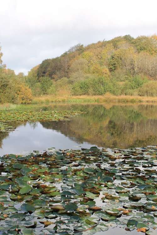 Lake Denmark Pond Reflections Autumn Water