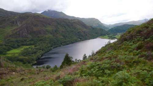 Lake Wales Snowdonia