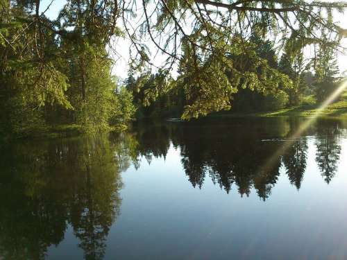 Lake Mirroring Mood Scenic Water