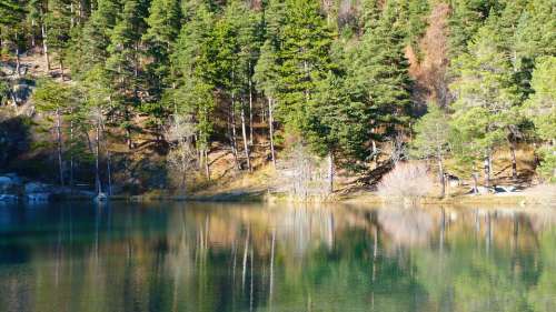 Lake Landscape Nature Reflection Water Tree Fall