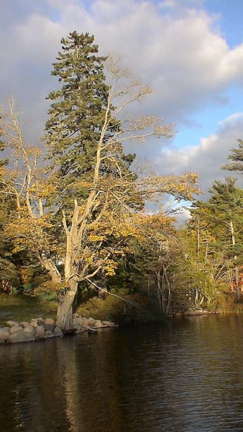 Lake Maine Bar Island Reflections Landscape Scenic