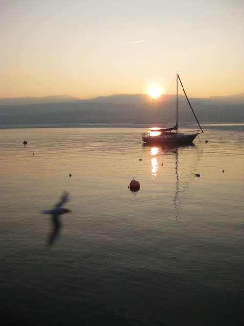 Lake Sunset Abendstimmung Boat Sailing Boat
