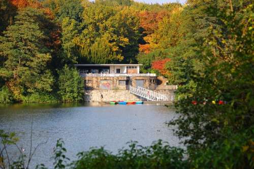 Lake Forest Autumn Boat Rental Autumn Forest
