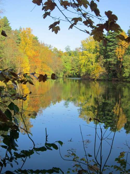 Lake Autumn Mirroring Leaves Water Trees Lighting