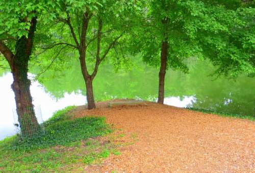 Lake Trees Peaceful Bench Green Nature Water