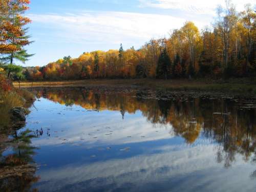 Lake Fall Colors Reflection Forest Sky Autumn