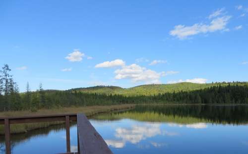 Lake Reflections Tree Scenic Calm Cloud