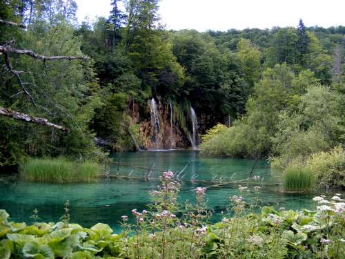 Lake Plitvice Blue Plants Trees Green Croatia