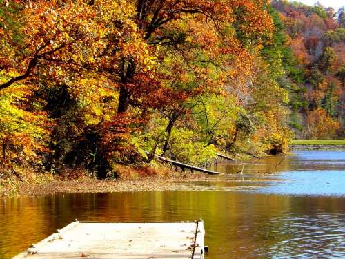 Lake Fall Trees Leaves Autumn Nature Tree Season