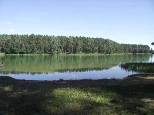 Lake Masuria Ducks Water Pond