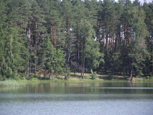 Lake Masuria Ducks Water Pond