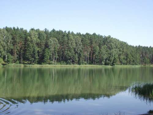 Lake Masuria Ducks Water Pond