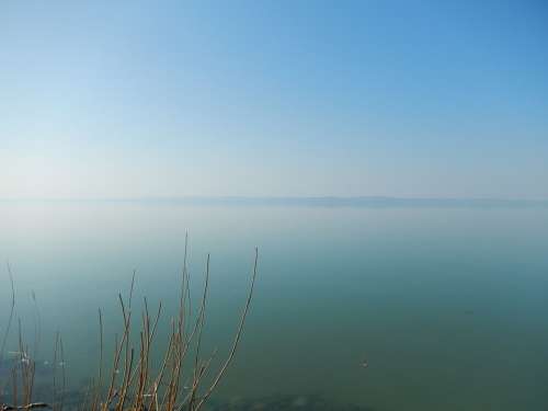 Lake Balaton Lake Nature Landscape