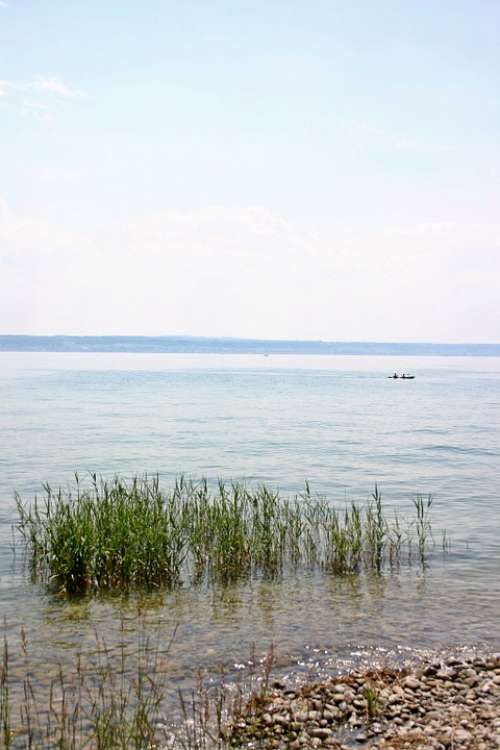 Lake Constance Pebble Water Bank Lakeside Lake