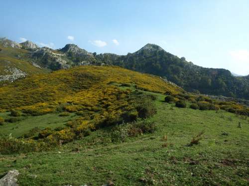 Lakes Covadonga Asturias Nature