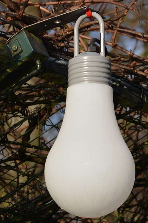 Lamp Light Bulb Lighting Decoration