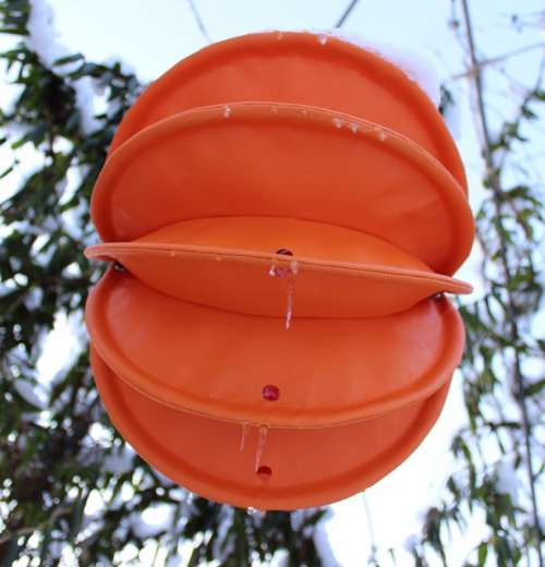 Lampion Weatherproof Robust Snow Lighting Garden