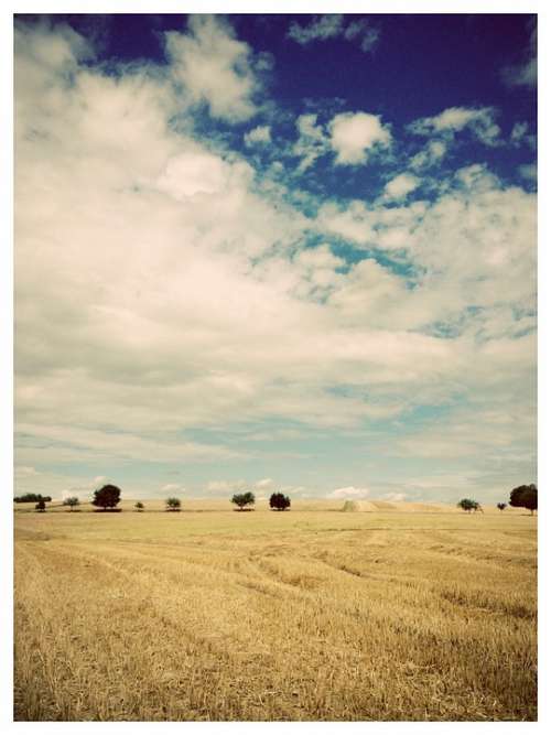 Landscape Trees Fields Straw Sky Blue Yellow