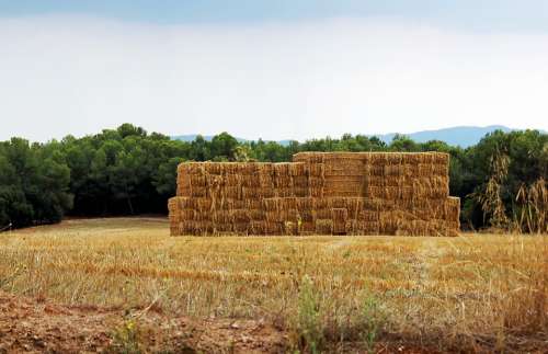 Landscape Summer Haystack Straw Straw Bale Farm