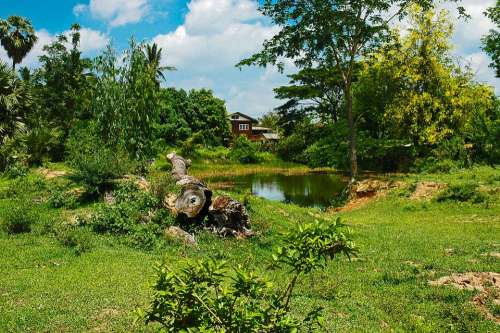 Landscape House Pond Thailand