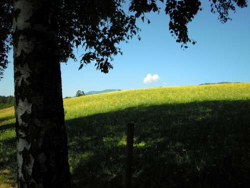 Landscape Plant Nature Sun Sky Clouds Summer